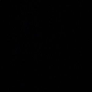 Meet your Posher, Isis